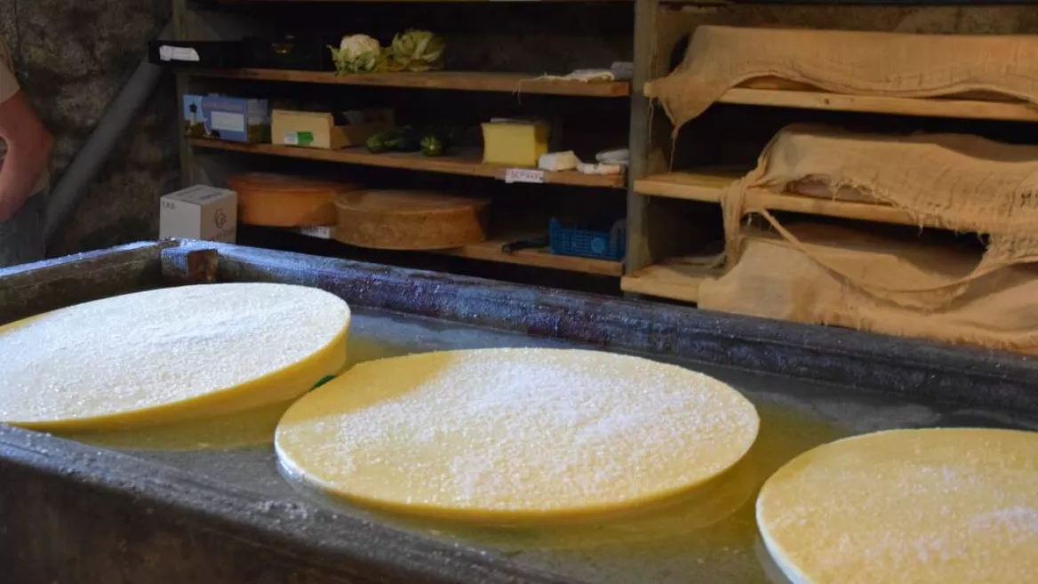 Les Mercredis de Granier : Animation nature en famille_Aime-la-Plagne