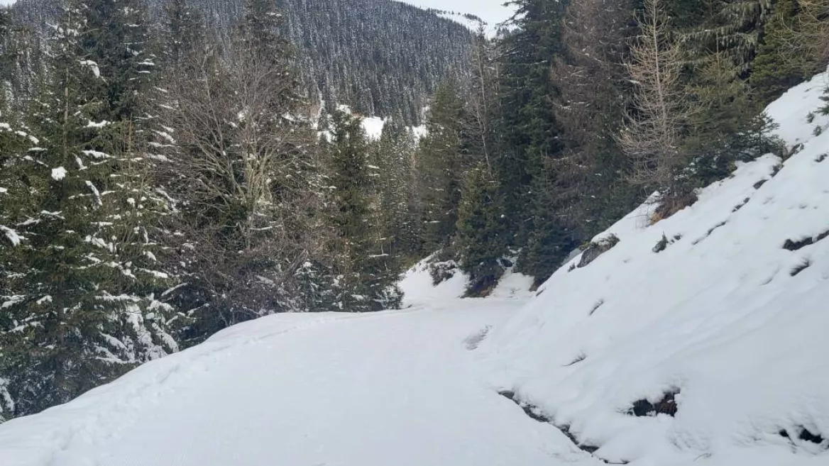 Balade modérée en raquettes_Aime-la-Plagne