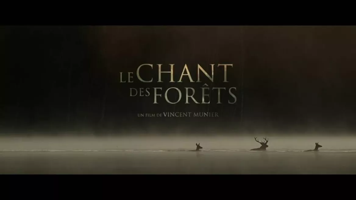 Cinéma | "Le Chant des Forêts"_Champagny-en-Vanoise
