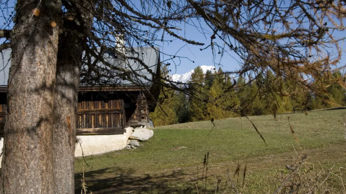 Stage à Montchavin-Les Coches avec Anne Bautrait_Montchavin-les-Coches