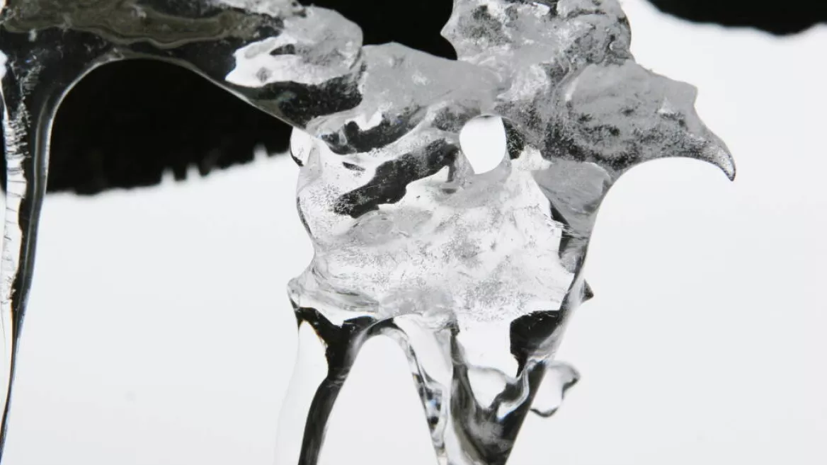 Ausstellung "De Glace" von Jacques Richard_Champagny-en-Vanoise