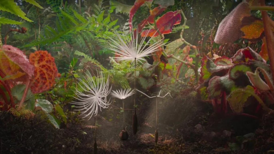 Kino I Planeten_Montchavin-les-Coches