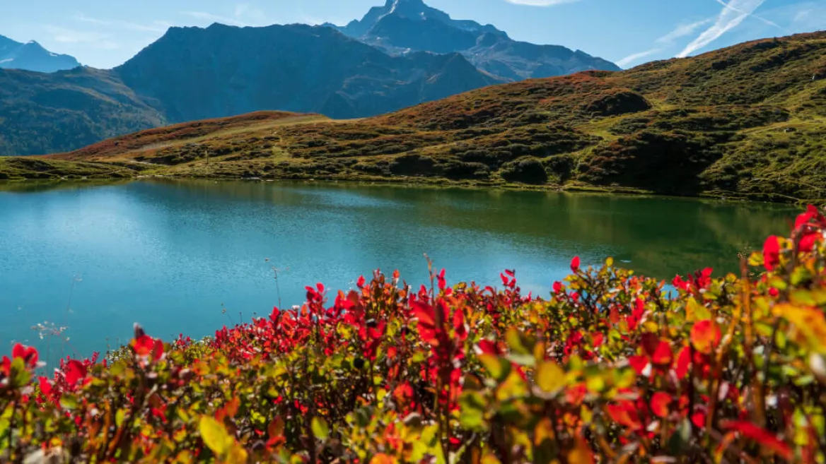 Natur und Entdeckung I