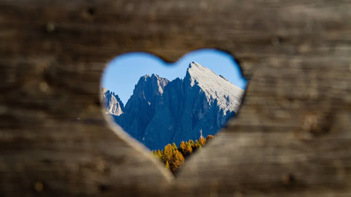Film |  La nature nous parle_La Plagne Tarentaise