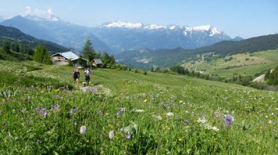 Grand Tour im Tarentaise