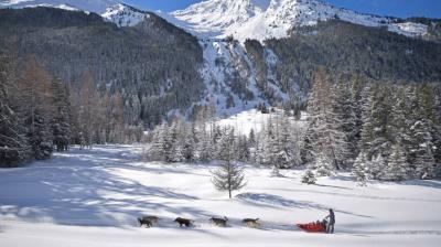 Generation Musher - Hundeschlittenfahren