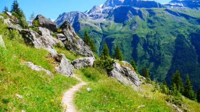 Sur le sentier de Lécheron