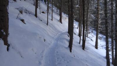 Schneeschuhroute Taillette
