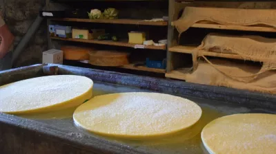 Les Mercredis de Granier : Animation nature en famille_Aime-la-Plagne