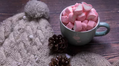Carnaval - Vente de barbes à papa et gâteaux par l'APE de Longefoy_Plagne-Montalbert