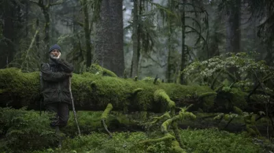 Cinéma I Le chant des forêts_Montchavin-les-Coches