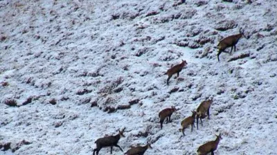 Sortie raquettes : petites histoires d'une vallée glaciaire_Champagny-en-Vanoise