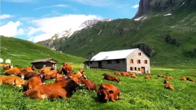 Projection de film: Terres du ciel, cueilleurs d'alpages