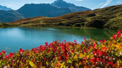 Natur und Entdeckung I