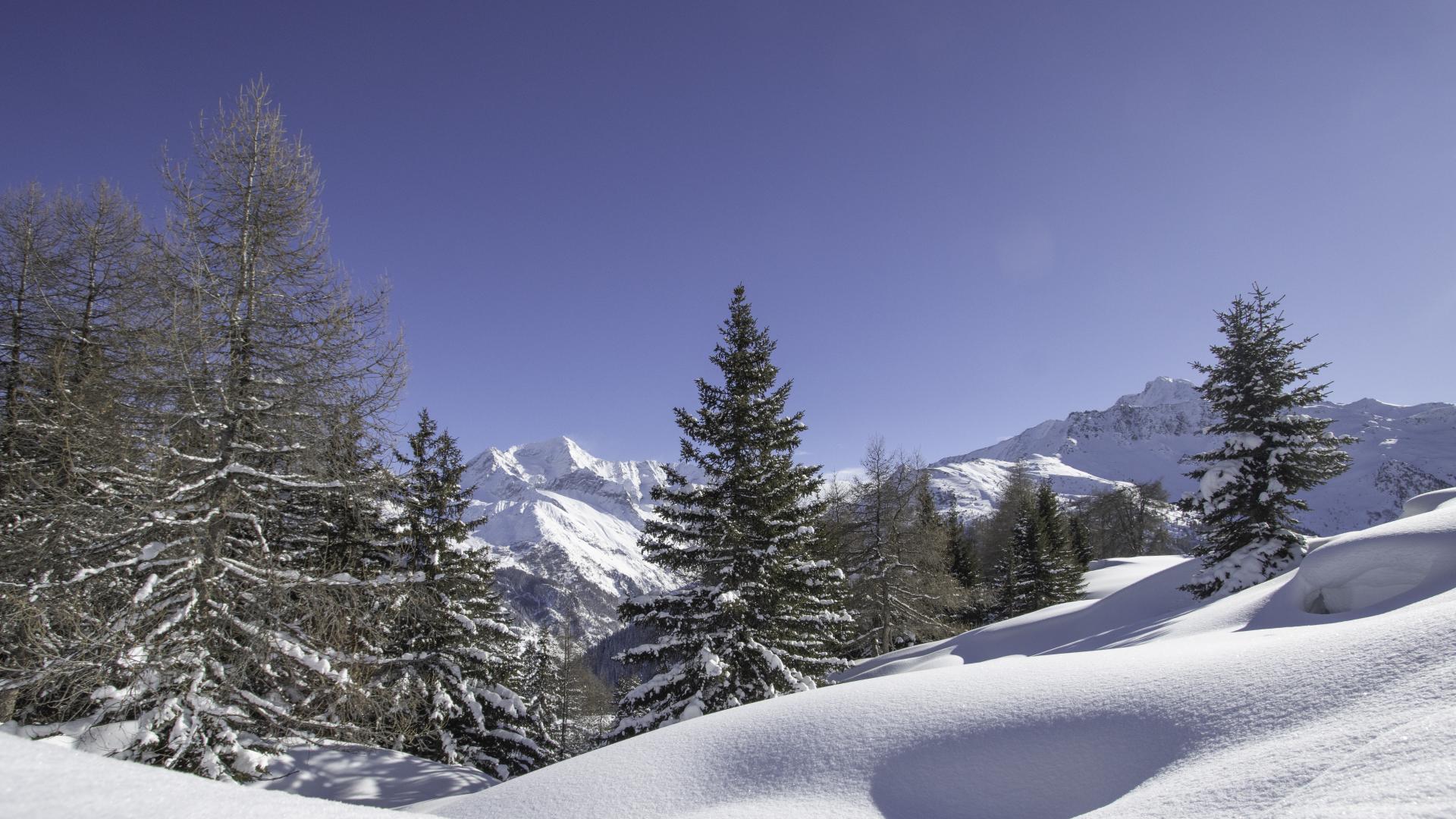 Natur