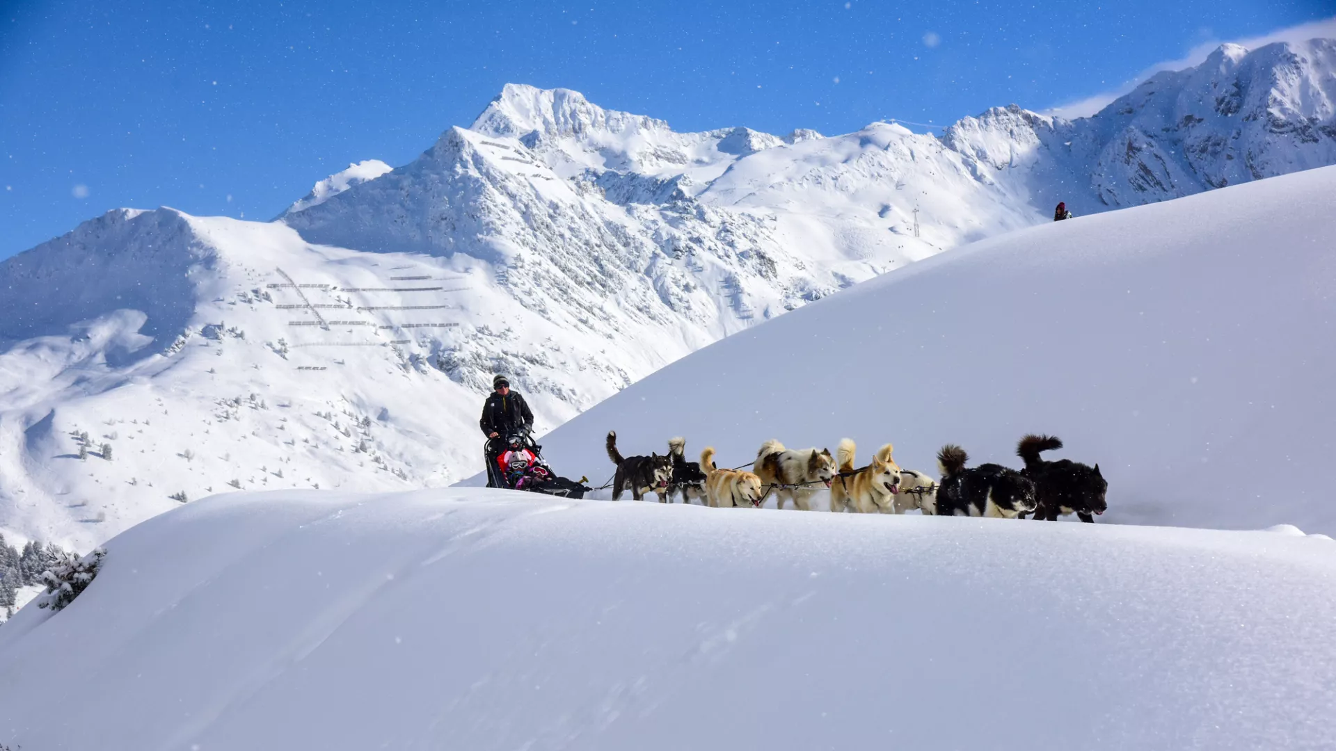Schlittenhundefahrt in La Plagne