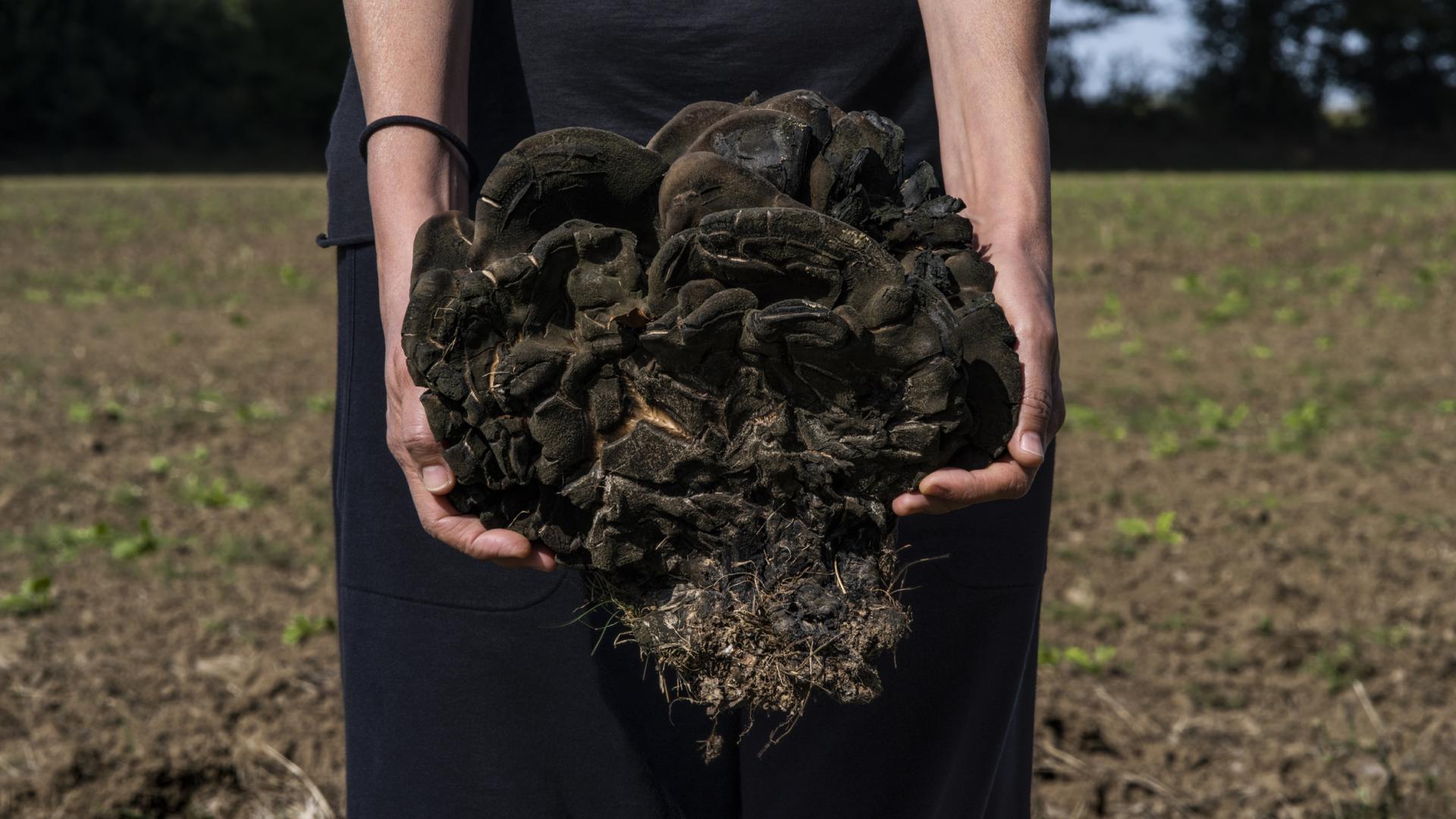 Kampagne_Premiere_Manuela_Marques_Porteuse _2022_Pigmentdruck _auf_Barytpapier-Courtesy_Galerie_Anne_Barrault
