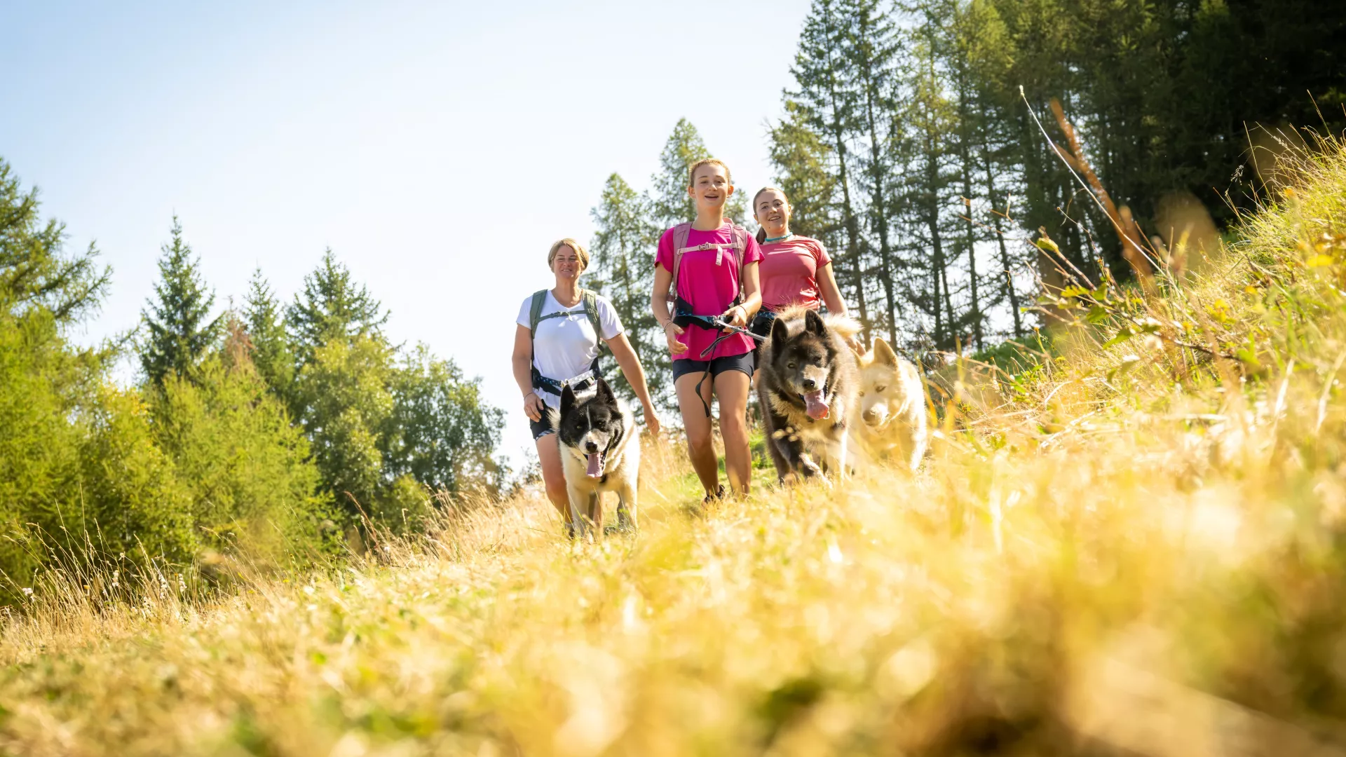 Cani Rando en famille