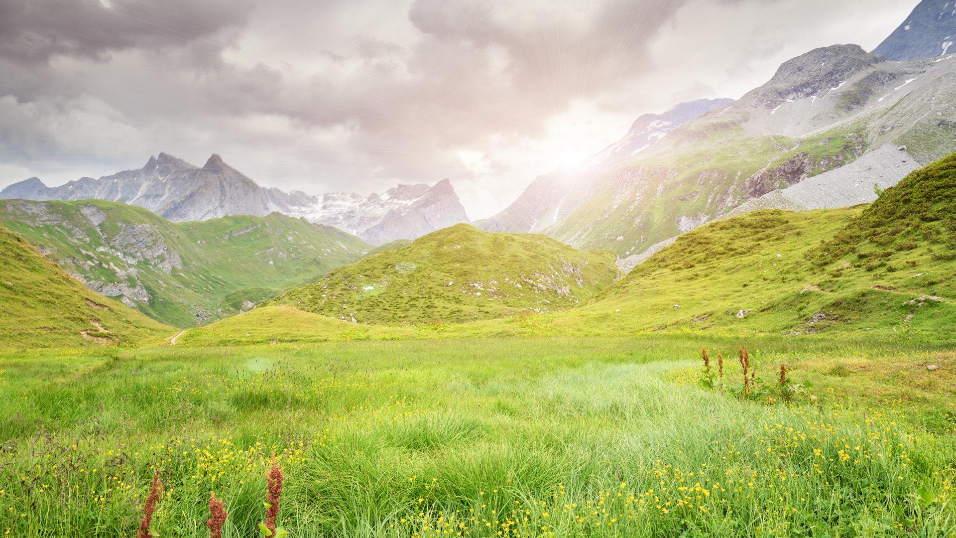 Parc de la Vanoise in Champagny