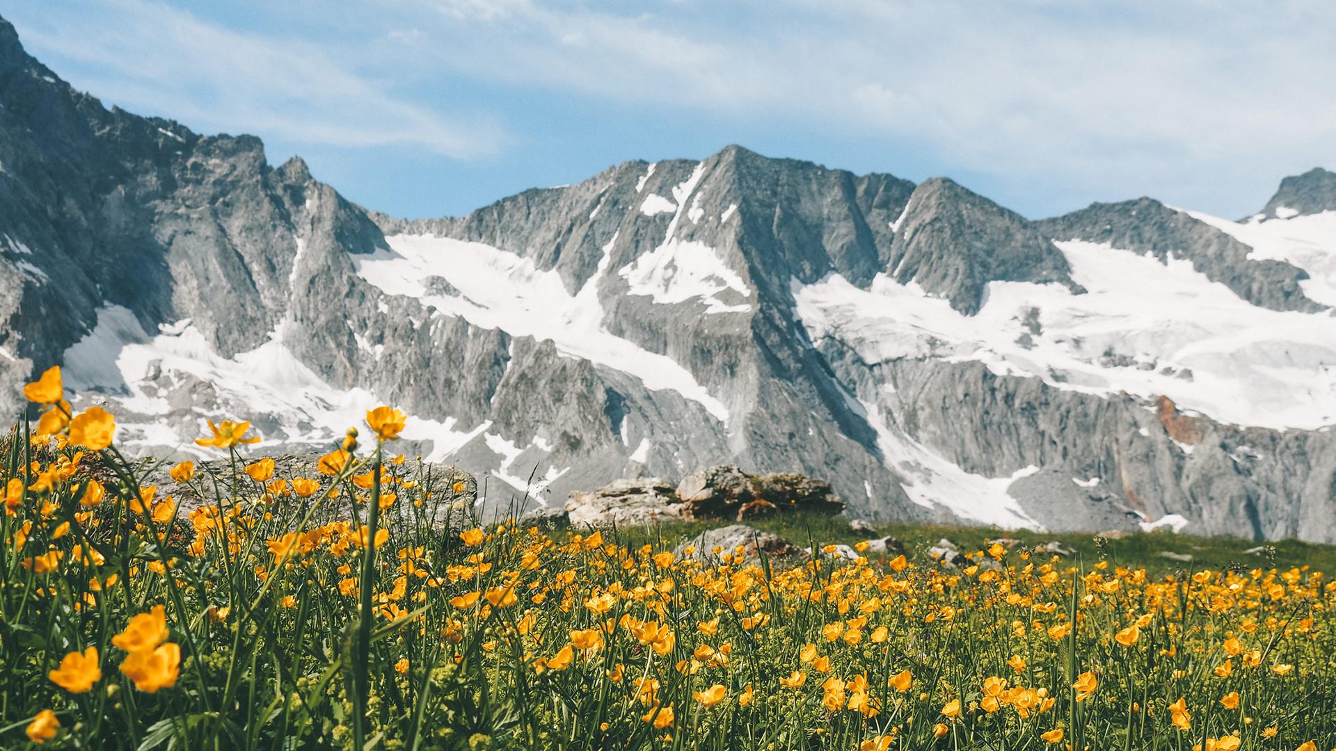 Landschaft von La Plagne