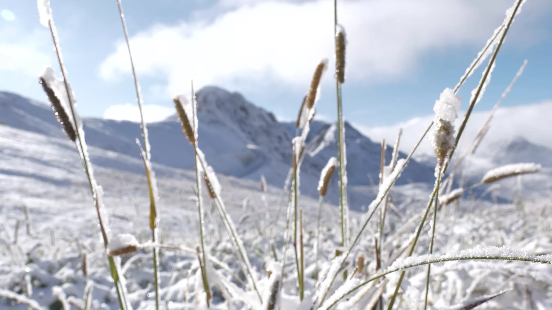 Erster Schnee in La Plagne