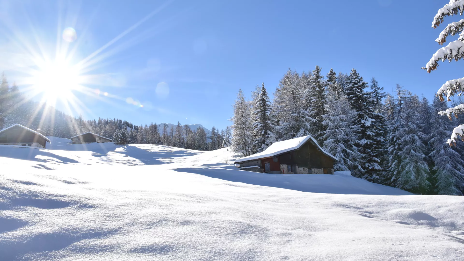 Die Chalets von Plan Bois