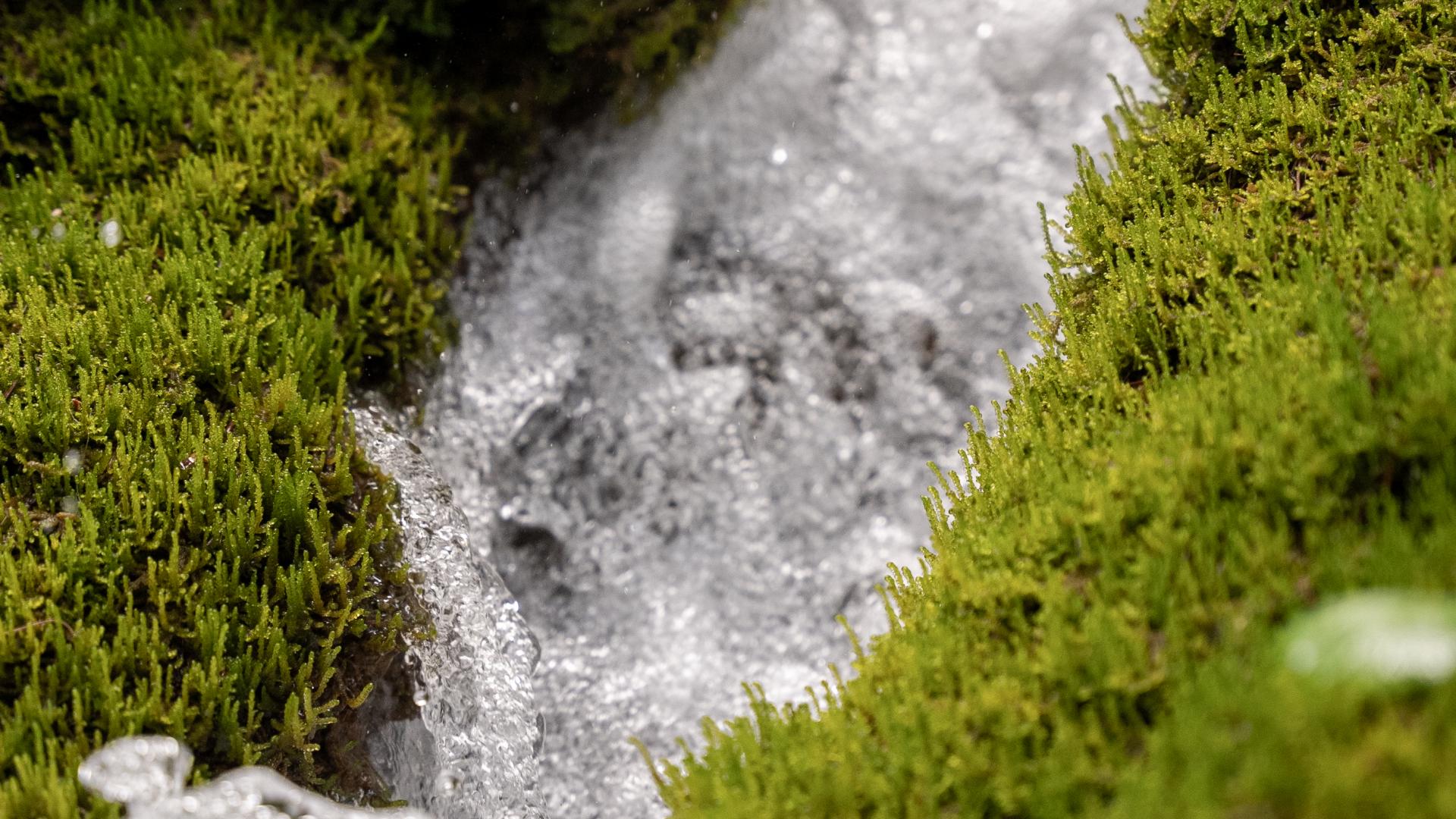 Wasserquelle La Plagne