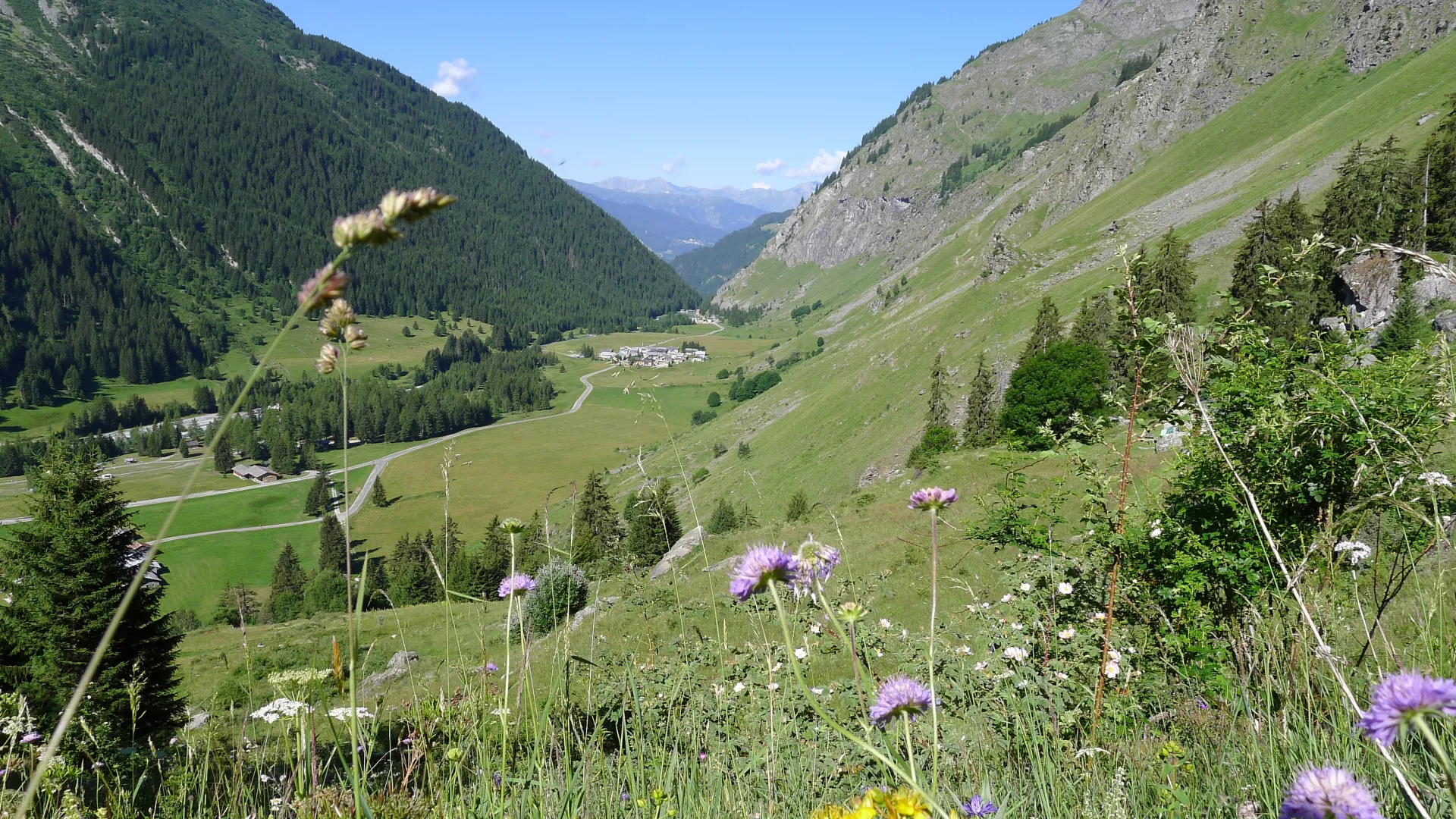 Champagny le Haut Sommer 2017
