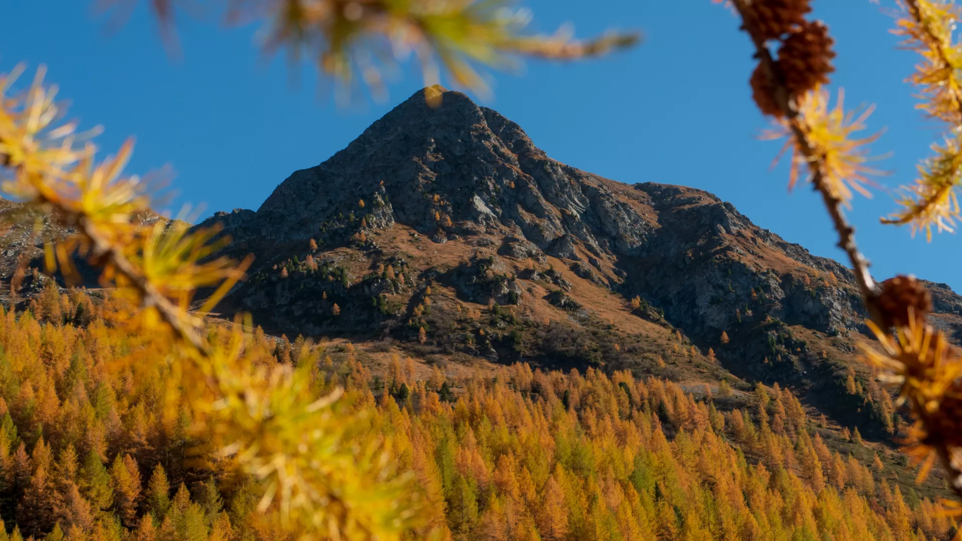 Montachavin - Les Coches Herbst