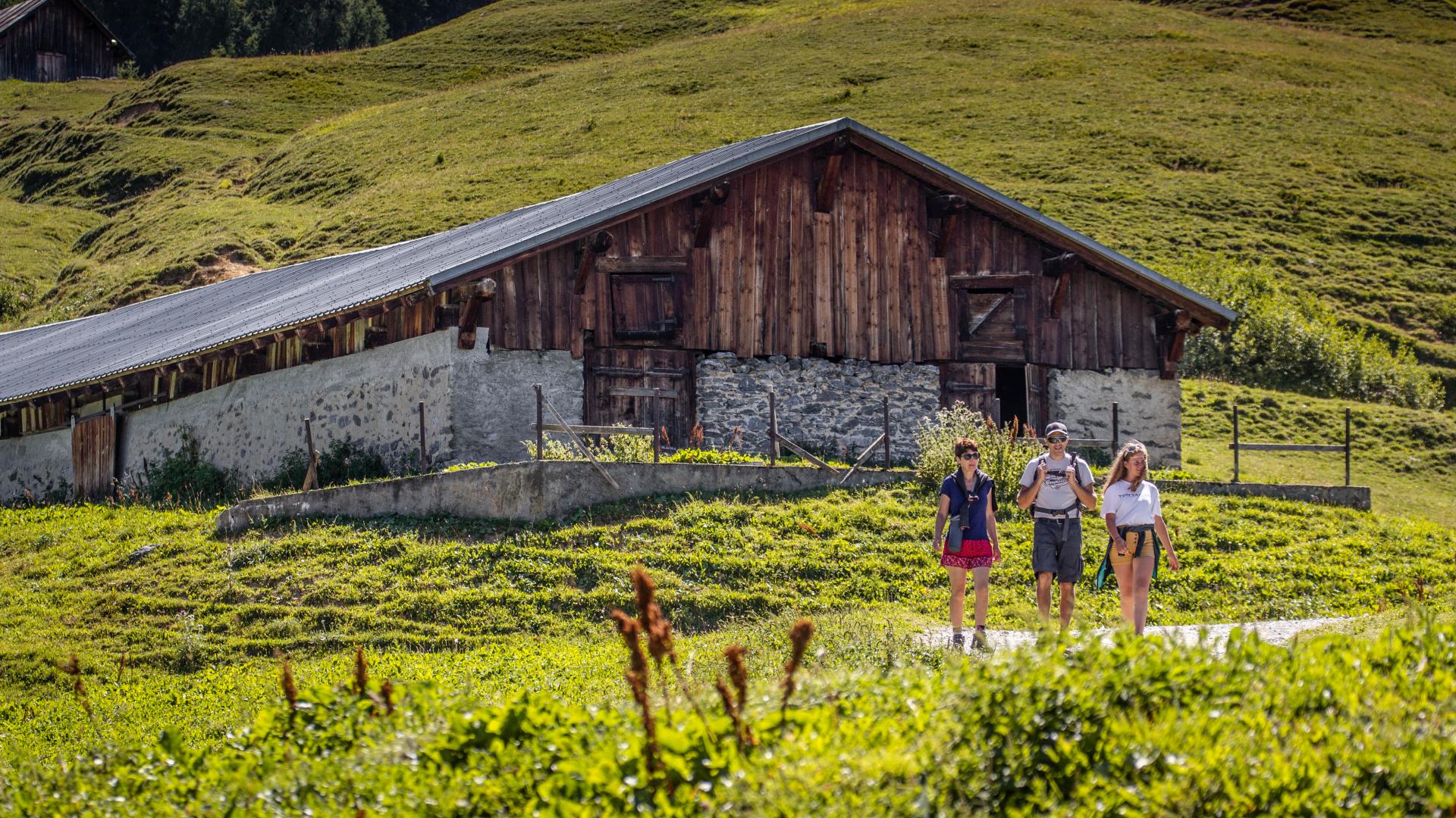 Auf einem Spaziergang durch die Almen von Montalbert