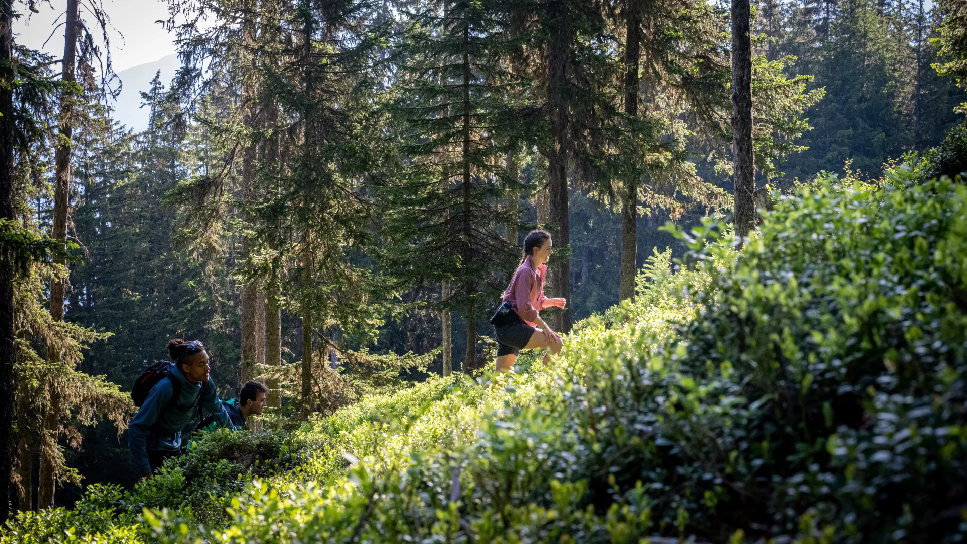 Wandern im Wald