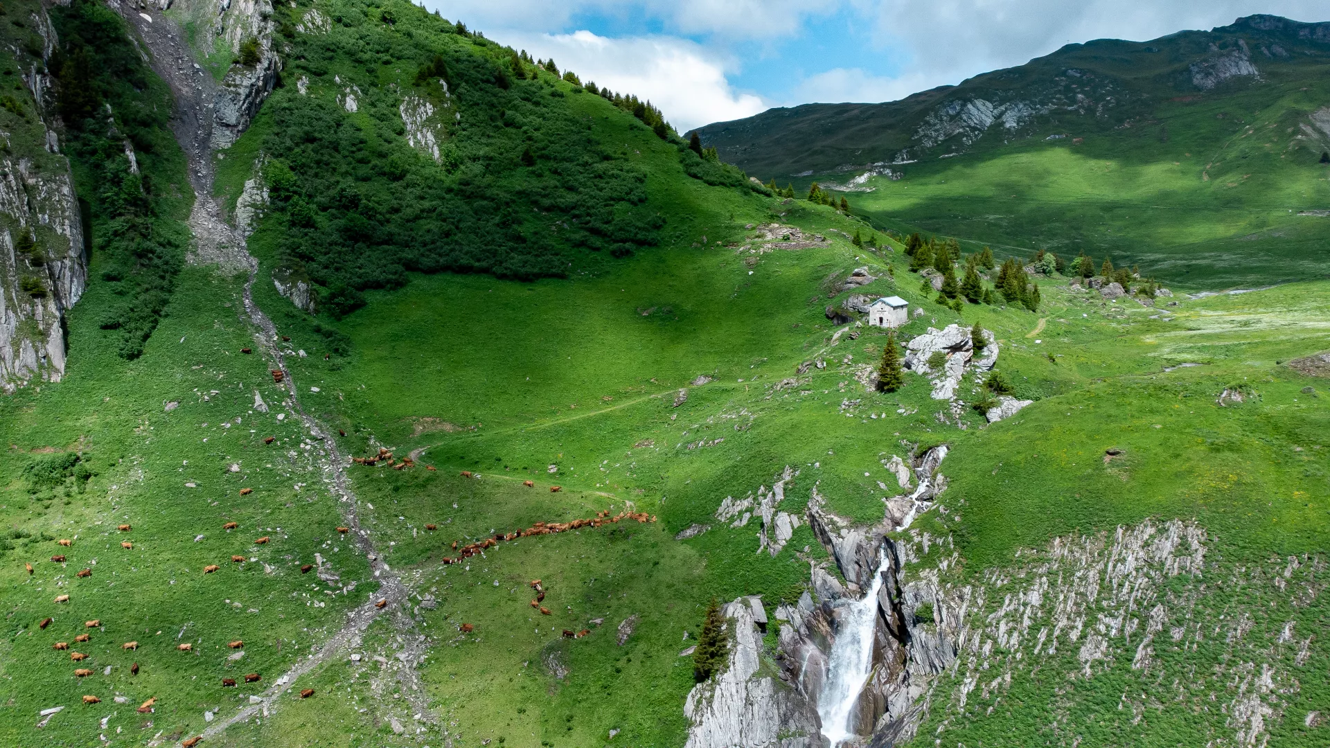 wandern-granier-plan-pichu-vaches-valllee-©ElisabethGayard