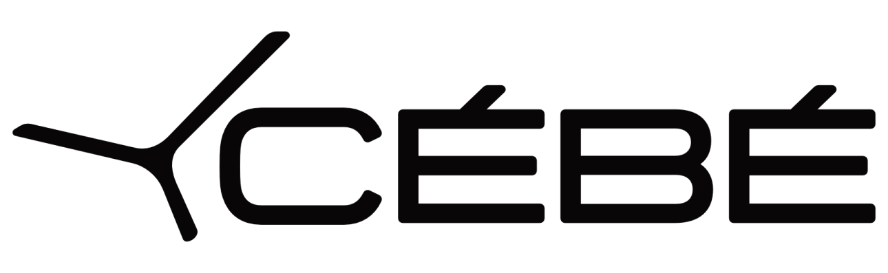 Logo Dare2B