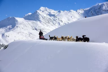 Schlittenhundefahrt in La Plagne Schlittenhundefahrt in La Plagne