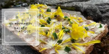 Neuheiten: Initiationsspaziergang