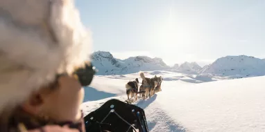 Balade_en_chiens_de_traineaux-Charlotte_Bertonneau