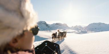 Balade_en_chiens_de_traineaux-Charlotte_Bertonneau