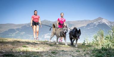 Cani_Rando-JNJ_Photo-28252