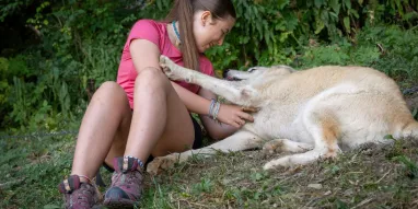 Cani_Rando-JNJ_Photo-28299