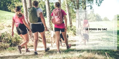 Das Gewicht der Tasche.jpg