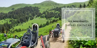 SAFARI SWINCAR SAFARI SWINCAR