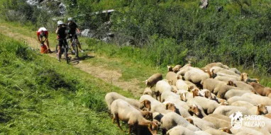 MAG-©pastokezako-vtt.