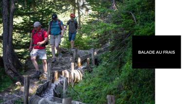 Kühler Spaziergang Kühler Spaziergang