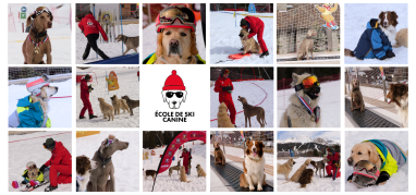 Hundeskischule La Plagne