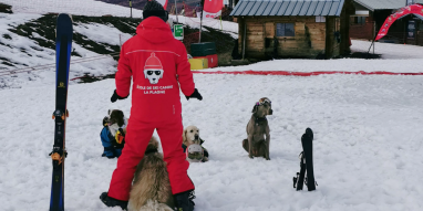 Hundeskischule La Plagne