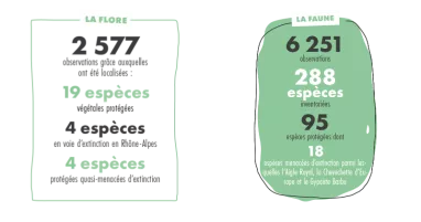 Erforschte Fauna und Flora La Plagne